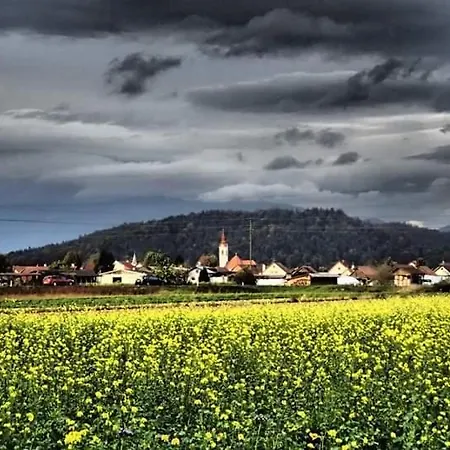 Michoart * Ljubljana
