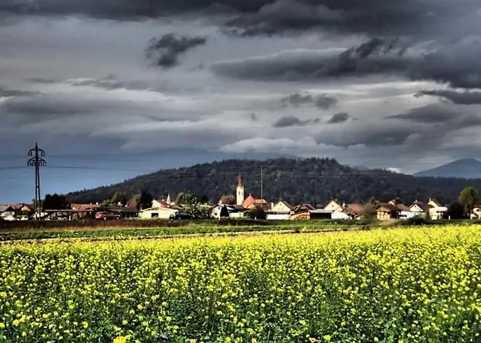 Michoart * Ljubljana